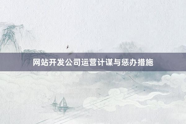 网站开发公司运营计谋与惩办措施